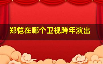 郑恺在哪个卫视跨年演出