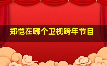 郑恺在哪个卫视跨年节目