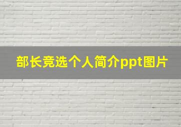 部长竞选个人简介ppt图片