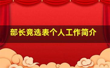 部长竞选表个人工作简介