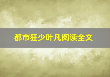 都市狂少叶凡阅读全文