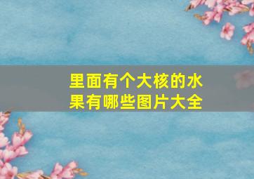 里面有个大核的水果有哪些图片大全