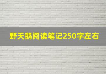 野天鹅阅读笔记250字左右