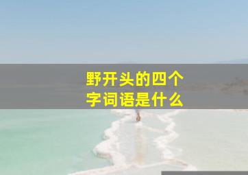 野开头的四个字词语是什么