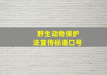 野生动物保护法宣传标语口号