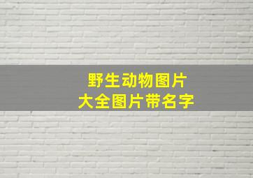 野生动物图片大全图片带名字