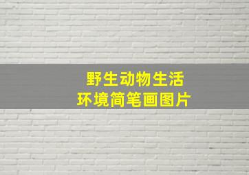 野生动物生活环境简笔画图片