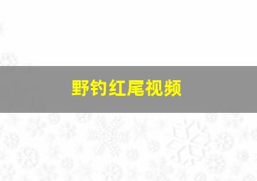 野钓红尾视频