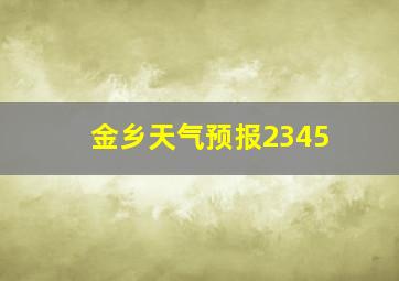 金乡天气预报2345