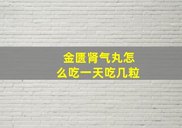 金匮肾气丸怎么吃一天吃几粒