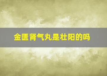 金匮肾气丸是壮阳的吗