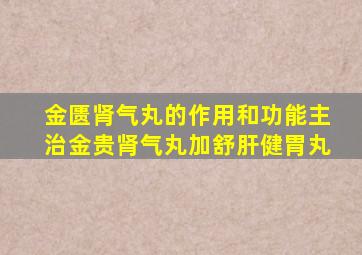 金匮肾气丸的作用和功能主治金贵肾气丸加舒肝健胃丸