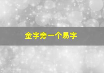 金字旁一个易字