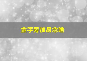 金字旁加易念啥