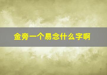 金旁一个易念什么字啊