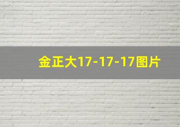 金正大17-17-17图片