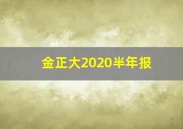 金正大2020半年报