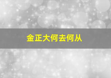 金正大何去何从