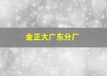 金正大广东分厂