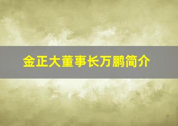 金正大董事长万鹏简介