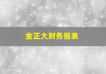 金正大财务报表