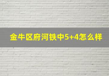 金牛区府河铁中5+4怎么样