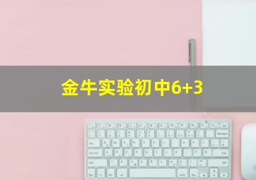 金牛实验初中6+3