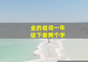 金的组词一年级下册两个字