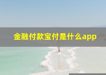 金融付款宝付是什么app