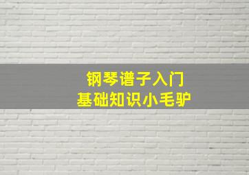 钢琴谱子入门基础知识小毛驴