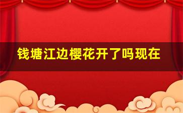 钱塘江边樱花开了吗现在