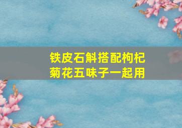 铁皮石斛搭配枸杞菊花五味子一起用