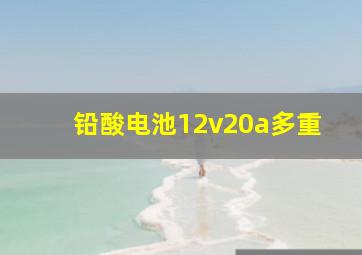 铅酸电池12v20a多重