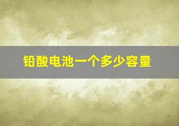 铅酸电池一个多少容量