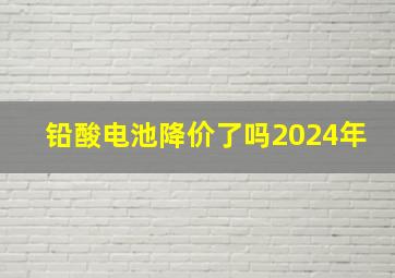 铅酸电池降价了吗2024年