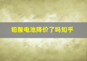 铅酸电池降价了吗知乎