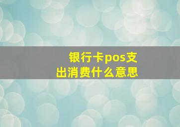 银行卡pos支出消费什么意思