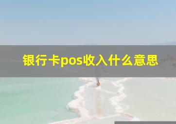 银行卡pos收入什么意思