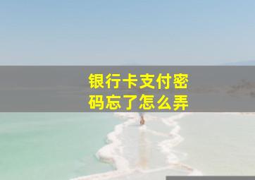 银行卡支付密码忘了怎么弄