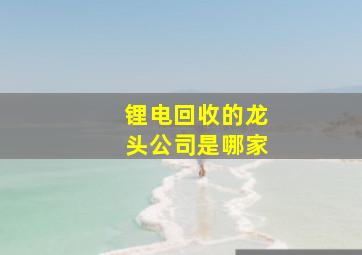 锂电回收的龙头公司是哪家