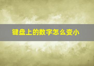 键盘上的数字怎么变小