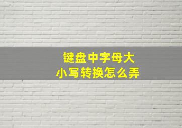 键盘中字母大小写转换怎么弄