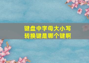 键盘中字母大小写转换键是哪个键啊