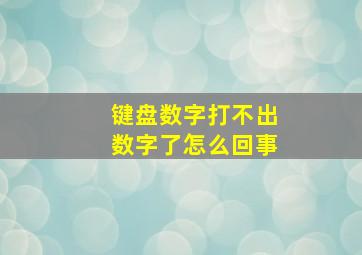 键盘数字打不出数字了怎么回事