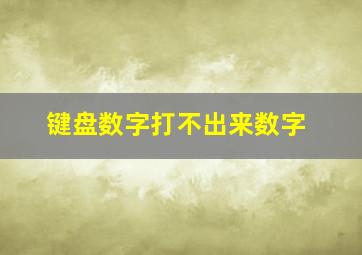 键盘数字打不出来数字