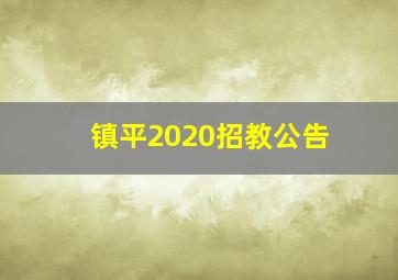 镇平2020招教公告