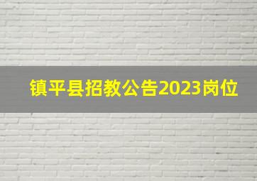 镇平县招教公告2023岗位