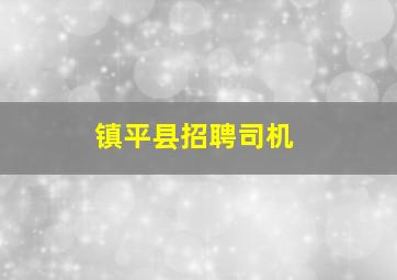 镇平县招聘司机