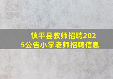 镇平县教师招聘2025公告小学老师招聘信息