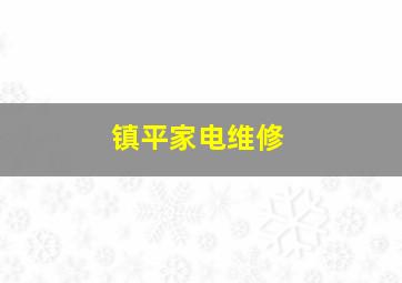 镇平家电维修